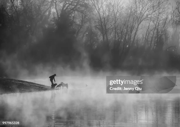 misty lake - jenny lake stock-fotos und bilder