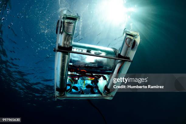 underwater rov. - ponto de vista de mergulhador - fotografias e filmes do acervo