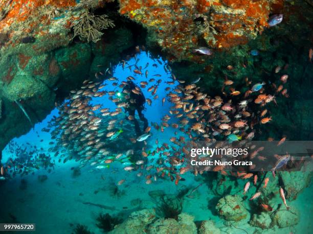 cape verde cavern - cape verde stock-fotos und bilder