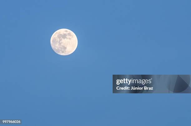 twilight with the full moon and palm tree silhouette - the lunar tree photos et images de collection