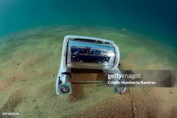 underwater rov. - scuba diver point of view stock pictures, royalty-free photos & images