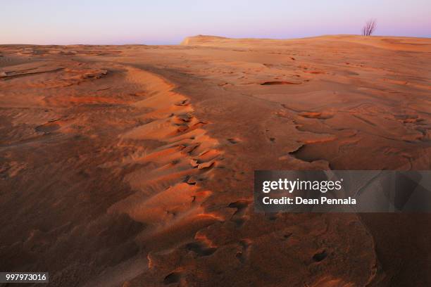 silver lake sand dunes - silver lake fotografías e imágenes de stock