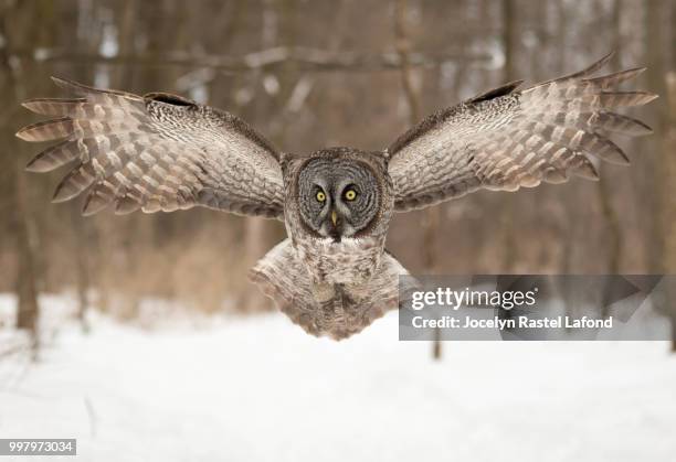 qa - qa stockfoto's en -beelden