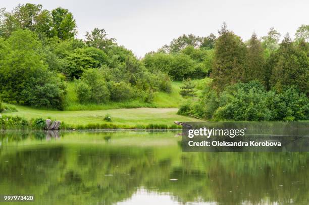 summer parkland featuring a calm, peaceful pond with a small wooden boat. - natural parkland 個照片及圖片檔