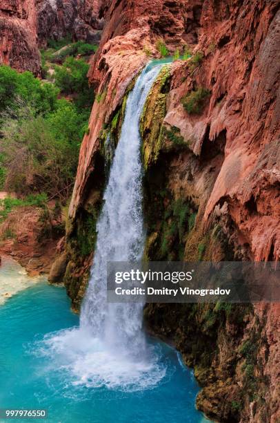 havasu falls - havasu falls 個照片及圖片檔