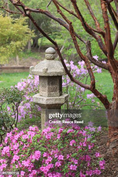 japanese lantern - japanese lantern foto e immagini stock