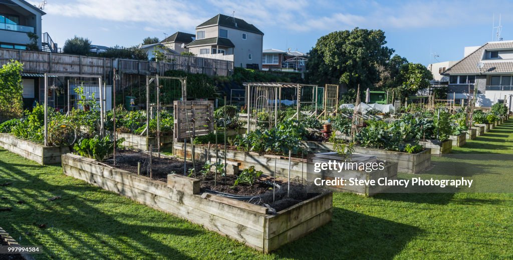 Community gardens