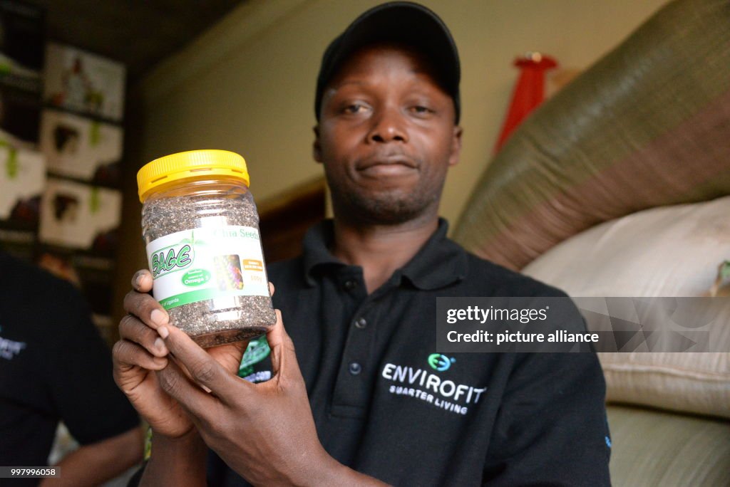 African farmers embrace chia