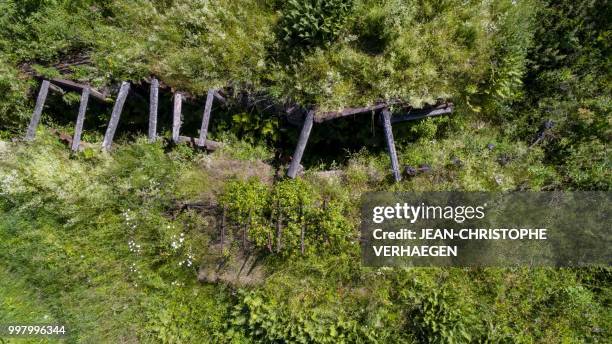 An aerial picture taken on June 25, 2018 near Wattwiller, eastern France, shows the trenches of the World War One war site of Vieil Armand, formerly...