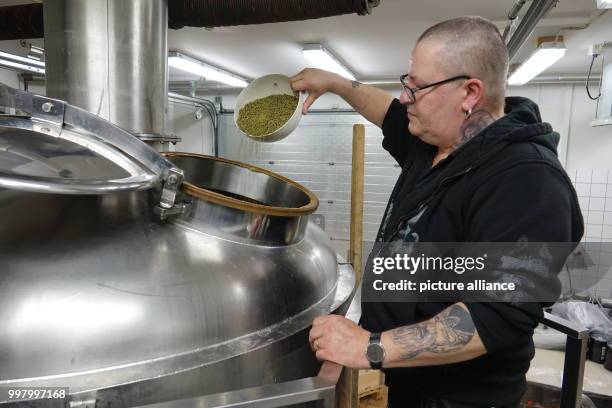 German brewing specialist Joerg Sennhenn at work in his brewery in Nuuk, Greenland, 3 May 2017. Around 50 German ex-pats live on the sparsely...