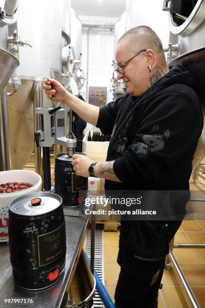 German brewing specialist Joerg Sennhenn at work in his brewery in Nuuk, Greenland, 3 May 2017. Around 50 German ex-pats live on the sparsely...