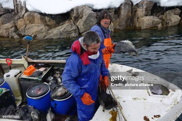 Two fishermen in the fjord of Nuuk, Greenland, 3 May 2017. Around 50 German ex-pats live on the sparsely populated Arctic island. Photo: Julia...