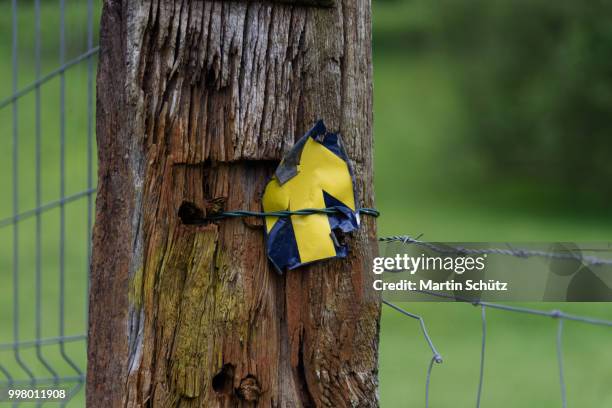 gelber pfeil auf blauem grund als wegweiser - wegweiser stock pictures, royalty-free photos & images