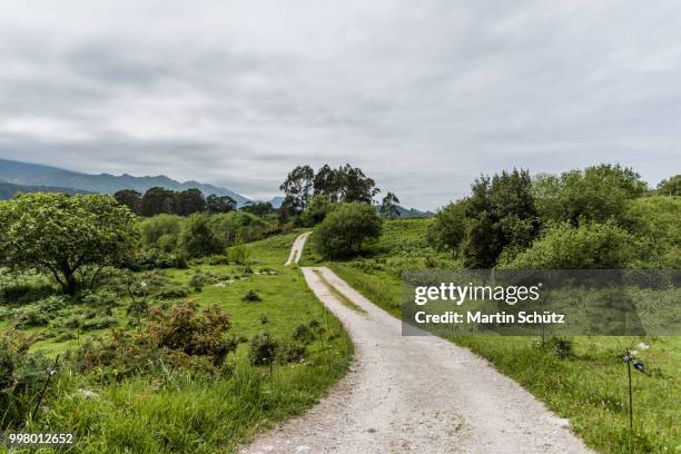 camino del norte - way of st. james - camino 個照片及圖片檔