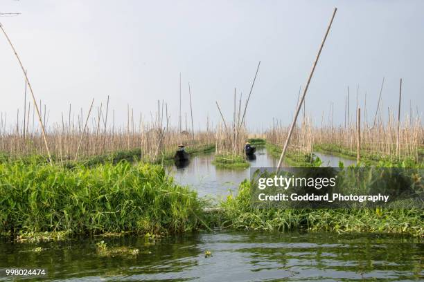 myanmar: flotante jardín agricultura - cultura birmana fotografías e imágenes de stock