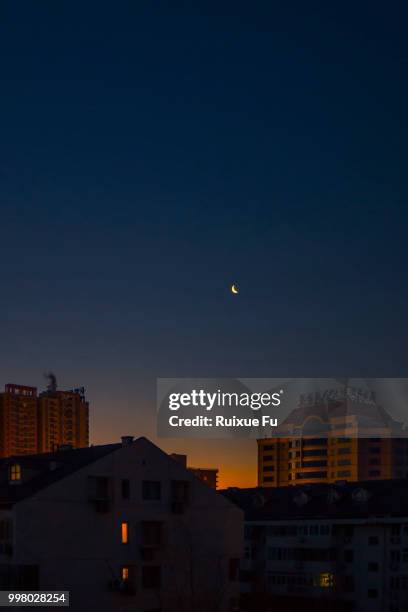 moon - fu stock pictures, royalty-free photos & images