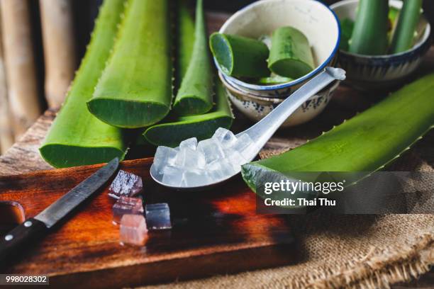 aloe vera 4... - pickled pork stock pictures, royalty-free photos & images