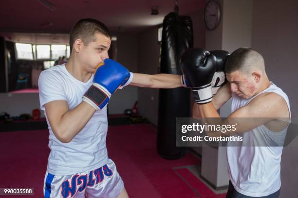 treino de boxe tailandês - sparring training - fotografias e filmes do acervo