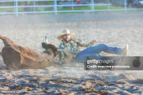 utah cowboy steer wrestling western im freien und rodeo stampede roundup reitpferde vieh hüten - eyecrave stock-fotos und bilder