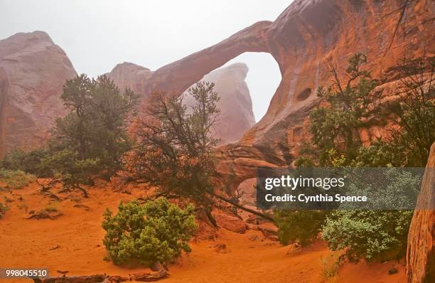 double o arch - double arch stock pictures, royalty-free photos & images