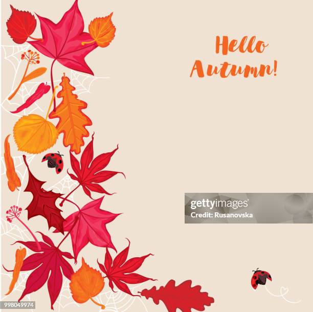 hello autumn! - willow leaf stock illustrations