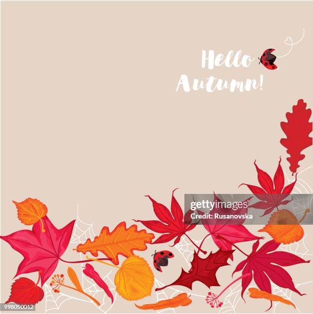 hello autumn! - willow leaf stock illustrations