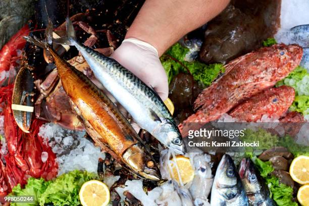 seller presenting a fresh and smoked mackerel fish in fish store - aguja imperial fotografías e imágenes de stock