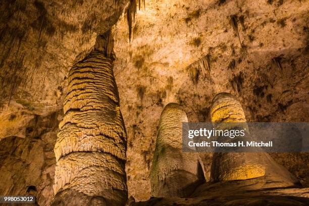 nm-carlsbad caverns national park - felssäulenformation stock-fotos und bilder