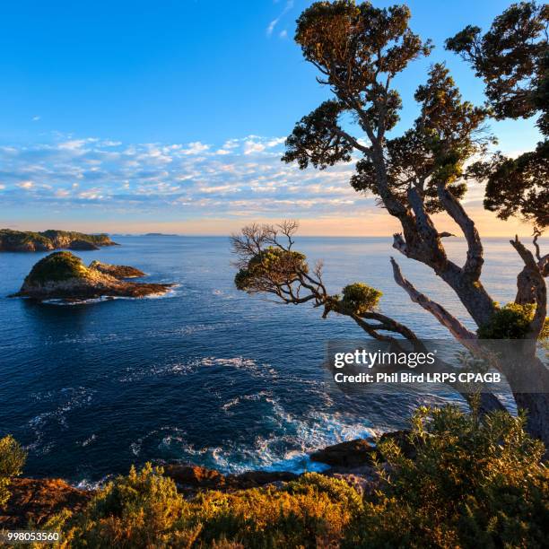 sunrise at te pare point - te stock pictures, royalty-free photos & images