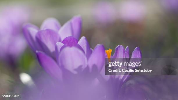 10,971 Come To Me Stock Photos, High-Res Pictures, and Images - Getty ...