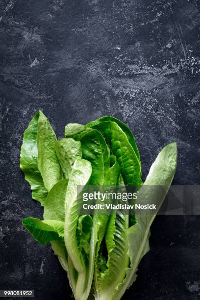 romaine lettuce - romaine stockfoto's en -beelden