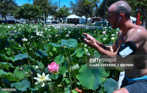 Aaron Simmonds takes a break from his morning workout to snap photos of Lotus flowers blooming at Echo Park Lake in Los Angeles, California on July...