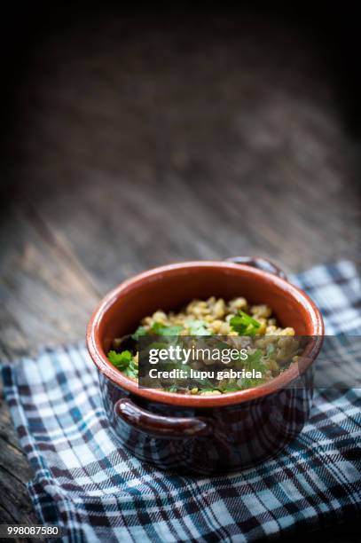 mushroom risotto - gabriela foto e immagini stock