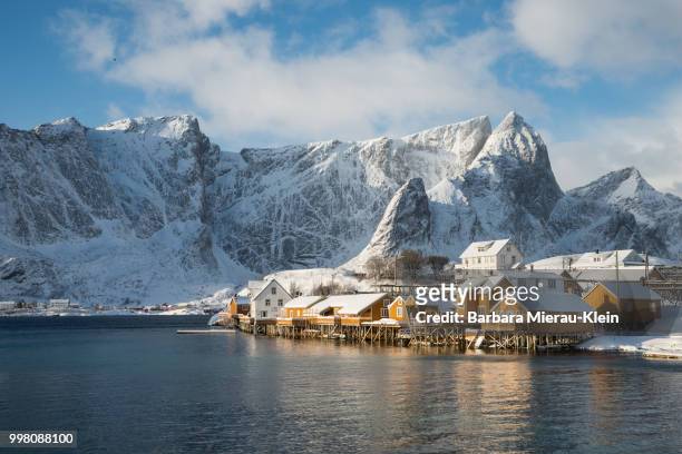 reine,norway - klein stock pictures, royalty-free photos & images