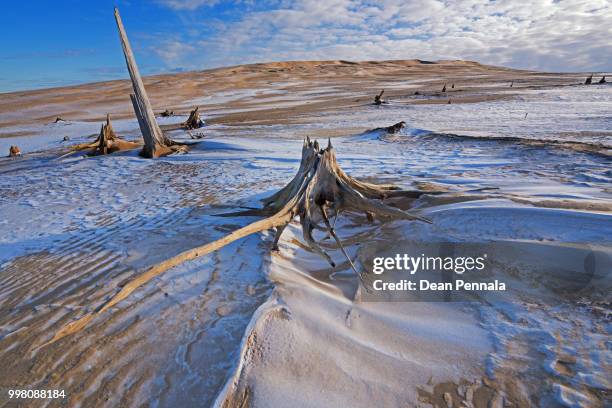 winter, silver lake sand dunes - silver lake fotografías e imágenes de stock