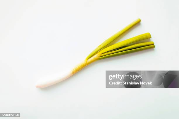 yellow onions - erva cidreira imagens e fotografias de stock