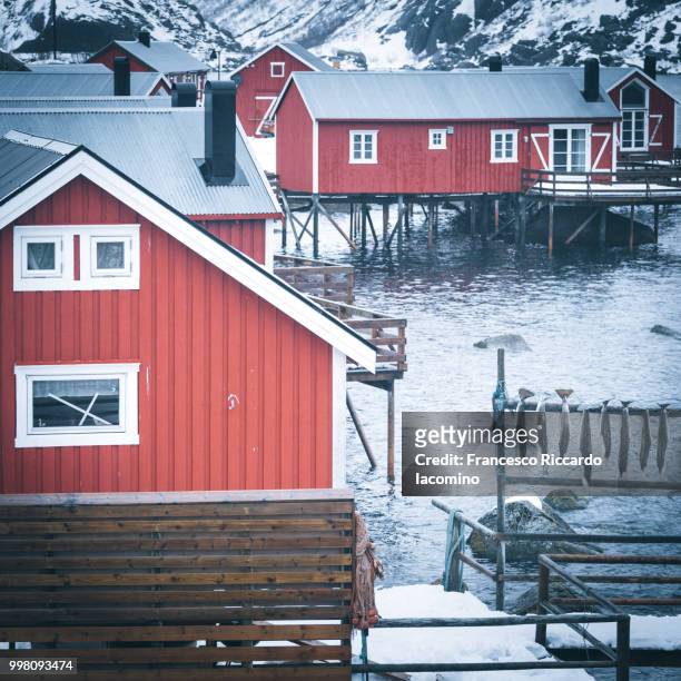 nusfjord, red rorbuer and stockfish - rorbuer stock pictures, royalty-free photos & images