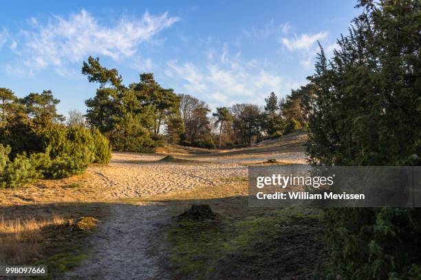 sunrise light - william mevissen fotografías e imágenes de stock