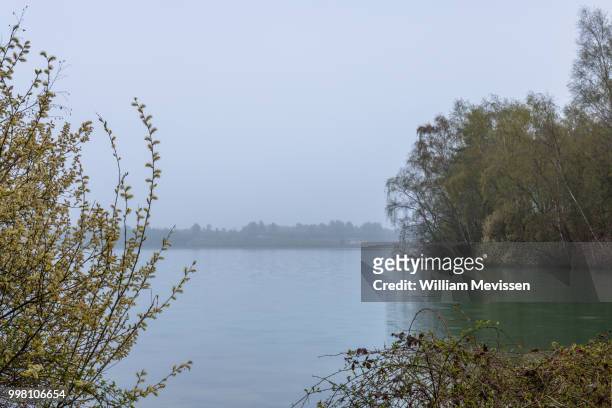 grey morning view - william mevissen stock pictures, royalty-free photos & images