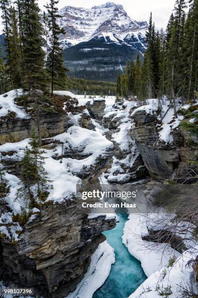 athabasca falls - athabasca falls stock pictures, royalty-free photos & images