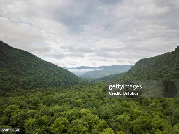 aerial view of boreal nature forest and mountain in summer - quebec aerial stock pictures, royalty-free photos & images