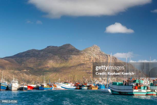 hout bay - hout 個照片及圖片檔