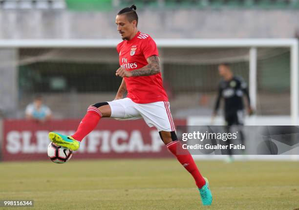 Benfica midfielder Ljubomir Fejsa from Serbia in action during the Pre-Season Friendly match between SL Benfica and Vitoria Setubal at Estadio do...