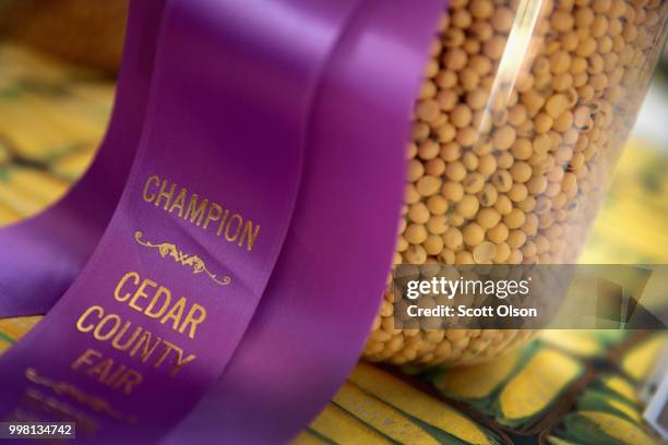 Soybeans are displayed for judging at the Cedar County Fair on July 13, 2018 in Tipton, Iowa. The fair, like many in counties throughout the Midwest,...