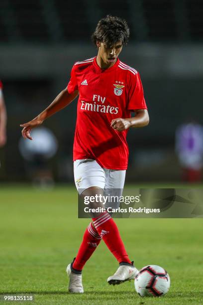 Benfica midfielder Joao Felix from Portugal during the match between SL Benfica and Vitoria Setubal FC for the Internacional Tournament of Sadoat...