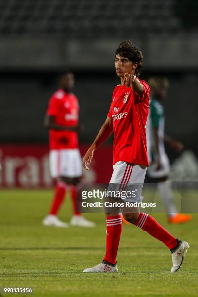 Benfica midfielder Joao Felix from Portugal during the match between SL Benfica and Vitoria Setubal FC for the Internacional Tournament of Sadoat...