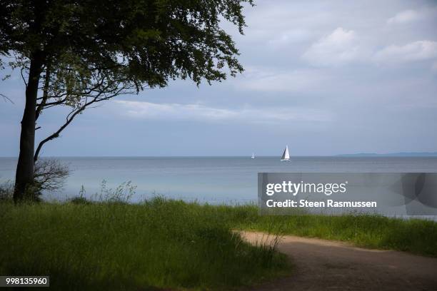 sailboats on the north coast - steen stock pictures, royalty-free photos & images