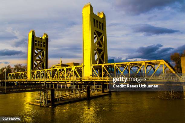 golden and glowing ! - yolo county stock pictures, royalty-free photos & images