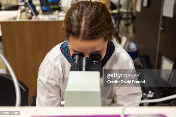 science researcher with a microscope - david freund stock pictures, royalty-free photos & images