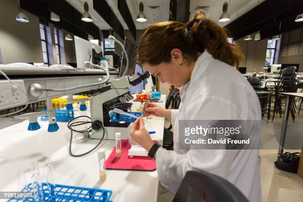 science researcher with a microscope - freund stock pictures, royalty-free photos & images